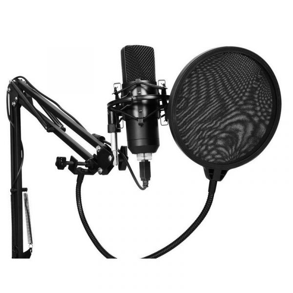 Микрофон Sunwind SW-SM400G черный